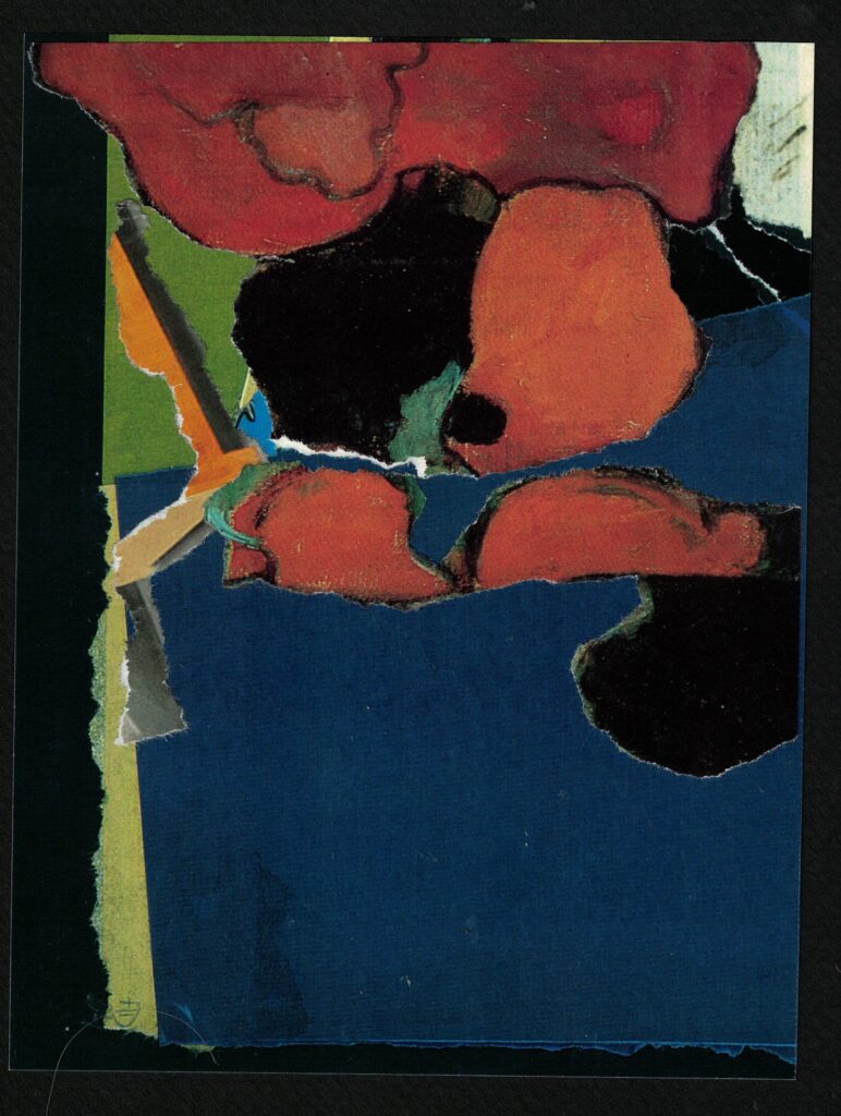 Night Poppies
