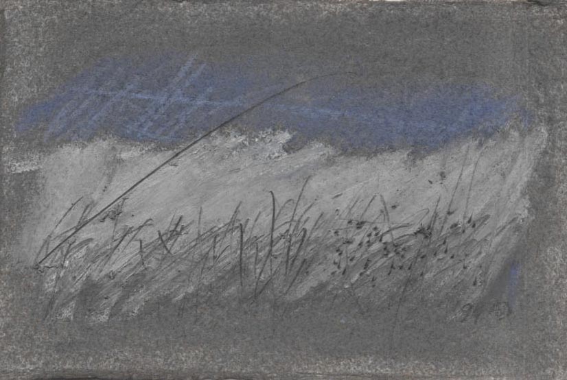 Palingenesis